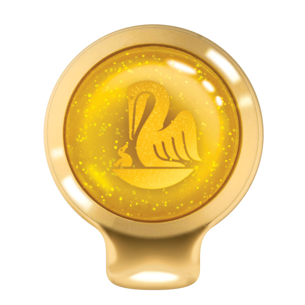 Pelikan Classic 200 Pyrite vista dall'alto